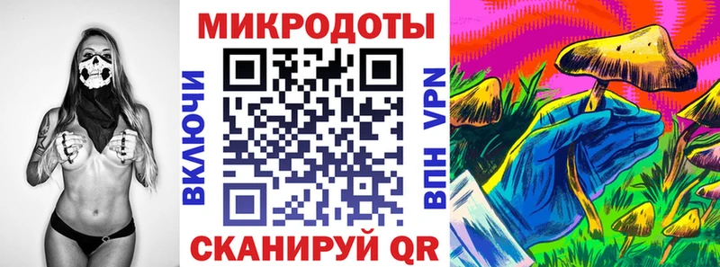 Купить  Сельцо  Псилоцибиновые грибы Cubensis 
